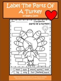 A+ Turkeys: Label The Parts Of A Turkey
