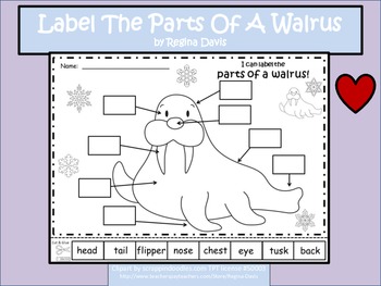 Preview of A+ Walrus: Label The Parts Of The Walrus