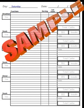 Preview of A Week of Daily Food, Glucose and Insulin Diary for People with Diabetes MSExcel