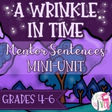 A Wrinkle In Time Mentor Sentences & Interactive Activitie