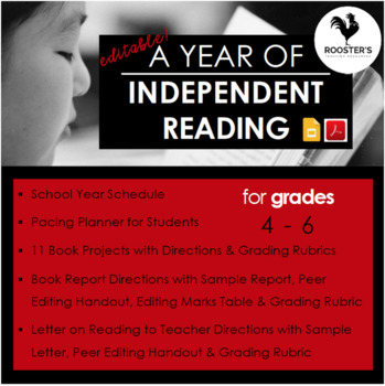 Preview of Book Projects and Book Reports for Independent Reading - 1 Year {Digital & PDF}