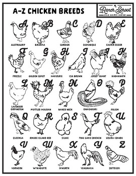 Preview of A-Z Coloring Sheet Bundle: Chickens
