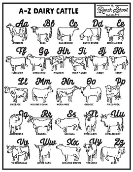 Preview of A-Z Coloring Sheet Bundle: Dairy Cattle