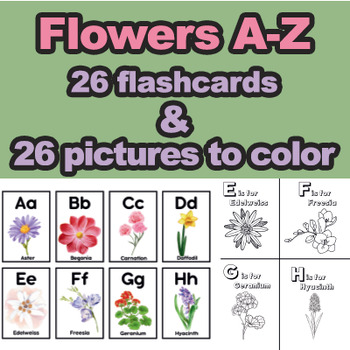 Preview of A-Z Flower flashcards and coloring pages