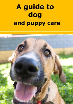 Preview of A guide to dog and puppy care