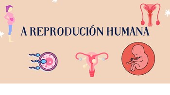 A reprodución humana by Carmen Vazquez | TPT