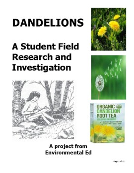 Preview of A student Dandelion Investigation