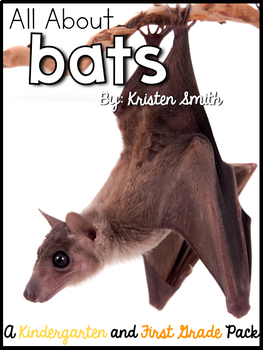 Preview of All About Bats- A bat unit for kindergarten and first grade students