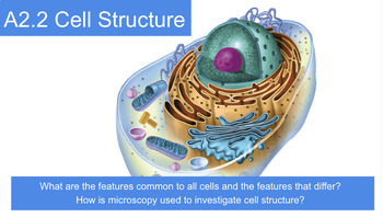 Preview of A2.2 Cell Structure Slideshow, Guided Notes, Key, and Worksheet BUNDLE