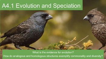 Preview of A4.1 Evolution and Speciation BUNDLE