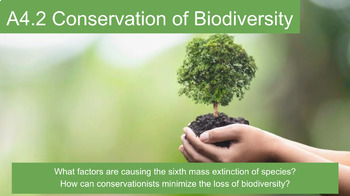 Preview of A4.2 Conservation of Biodiversity BUNDLE