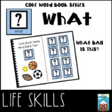 AAC Boardmaker "WHAT" Interactive Core Vocabulary Book Wha