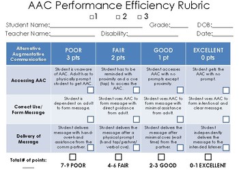 Preview of AAC Performance Efficiency Rubric