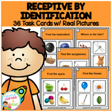 Receptive Identification 1 Task Cards ABA Special Education