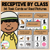Receptive by Class Task Cards ABA Special Education