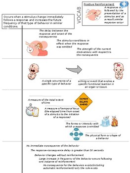 Preview of ABA Reinforcement/Punishment Copper Notes