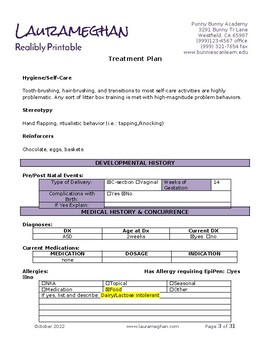 ABA Treatment Plan Example Sample Template Word Doc TPT
