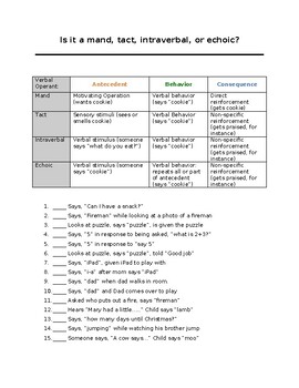 Preview of ABA Verbal Operants Practice Examples