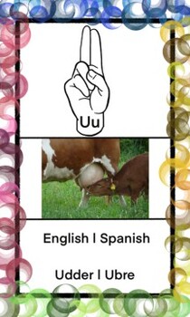 Preview of ABC ASL English - Spanish Flash Card