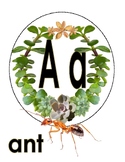 ABC Alphabet Succulent theme Modern Farmhouse