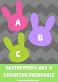 ABC Alphabet and Number Bunnies