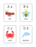 ABC Flash Cards: ANIMAL Flashcards  English Alphabet