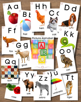 ABC In Pictures Alphabet Cards Preschool Literacy Phonemic Awareness