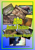 Alphabet Animal Posters (Zaner Bloser Style)