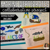 ABC's of Marine Vertebrates Collaborative Class Project