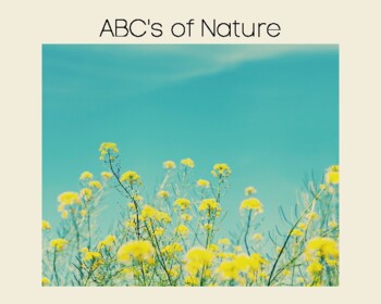 Preview of ABC's of Nature Book ***REAL PICTURES*** Reggio Emilia inspired