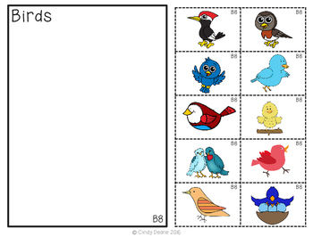 ABLLS-R Aligned B8 Sort Non Identical Items Task (Instant Download) 