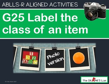 Preview of ABLLS-R ALIGNED ACTIVITIES G25 Label The Category Of Items - Photo Version