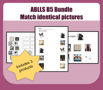 Preview of ABLLS-R B5 Bundle! - Distance learning