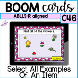 ABLLS-r aligned: Select All Examples (C46) -Boom Cards