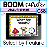 ABLLS-r aligned: Select by Feature (C38) -Boom Cards