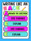 ACE Anchor Chart