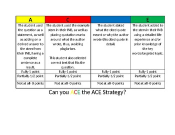 Preview of ACEing the ACE Strategy Rubric