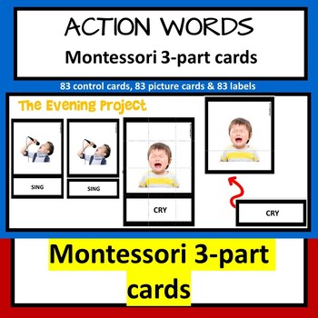 Preview of ACTION WORDS  Montessori 3-part cards with real photos