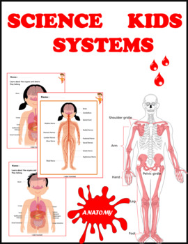 Preview of ACTIVITIES FOR THE HUMAN BODY FOR KIDS ( Body seystemes , Body parts  ...)