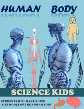 Preview of ACTIVITIES FOR THE HUMAN BODY ( body seystemes , body parts , and more ...)