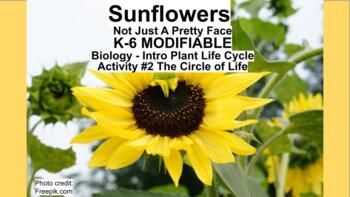 Preview of ACTIVITY 2 Bio Sunflowers Intro Life Cycle The Circle of Life K-6 MODIFIABLE