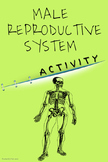 ACTIVITY - Male Reproductive System in Humans