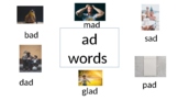 AD Word Family Flashcards
