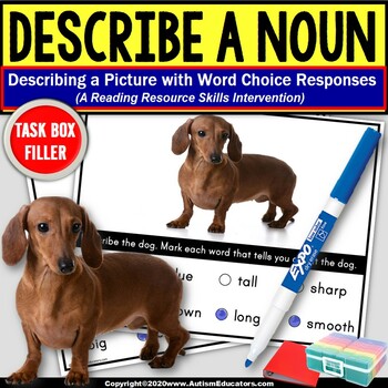 Preview of Describe a Picture Nouns TASK BOX FILLER Special Education Reading Resource