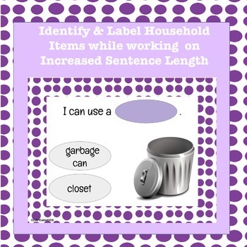 Preview of ADL: Label the Household Item and Target Sentence Expansion Speech Therapy