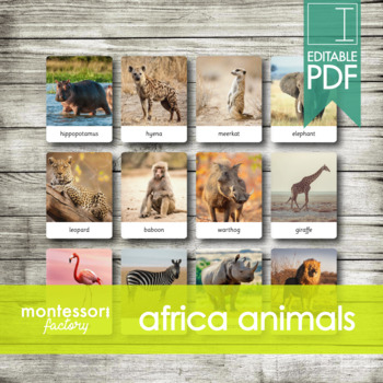 Preview of AFRICA ANIMALS • Montessori Cards • Flash Cards • Three Part Cards