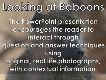 Preview of AFRICAN ANIMALS: Baboon - PowerPoint presentation