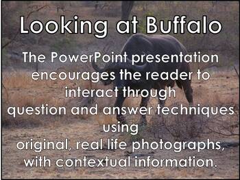 Preview of AFRICAN ANIMALS: Cape Buffalo - PowerPoint presentation