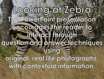 Preview of AFRICAN ANIMALS: Zebra - PowerPoint presentation