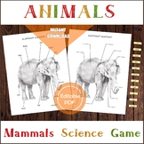 African And Asian Elephant Teaching Resources | Teachers Pay Teachers